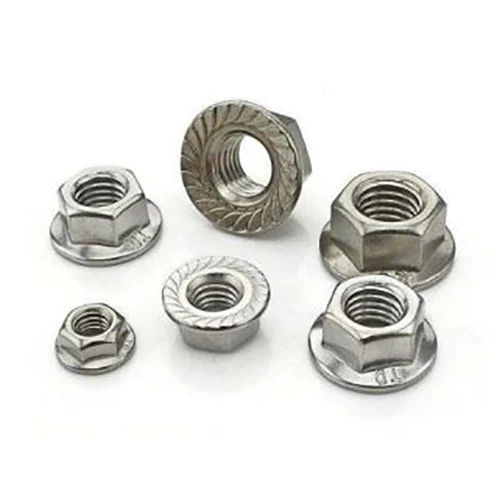 SS304 Flange Nut Plain